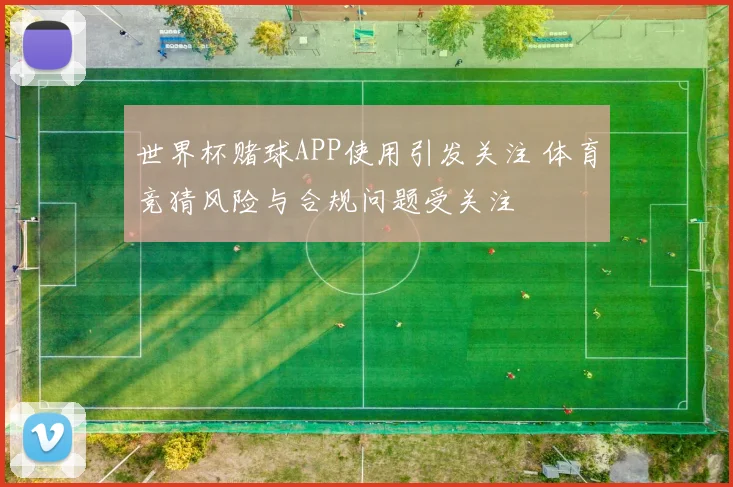 世界杯赌球APP使用引发关注 体育竞猜风险与合规问题受关注
