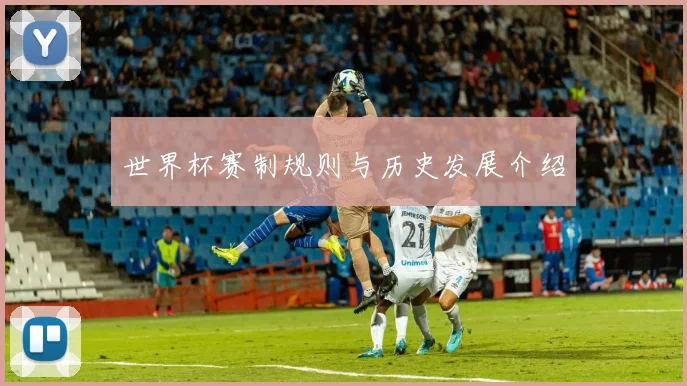 世界杯赛制规则与历史发展介绍