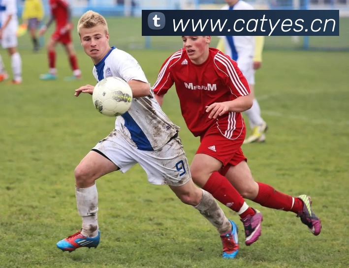 App Interface Preview