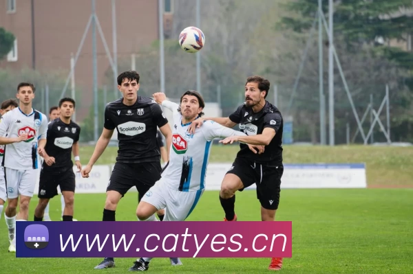 beat365在线体育平台APP 封面图